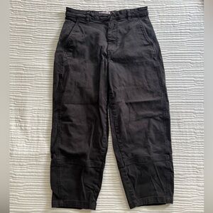 Everlane Utility Barrel Pants